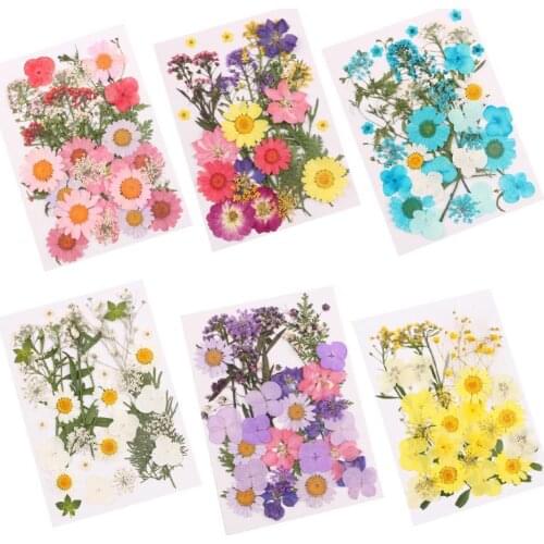 Pressed Mixed Natural Dried Flowers DIY Art Handicraft Gift Decoration