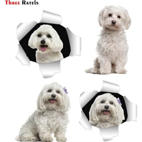 Three Ratels FC895 Maltese Dog Malta Puppy Stickers Cute Car Sticker Personalized Creative Scratch Stickers Laptop Deal