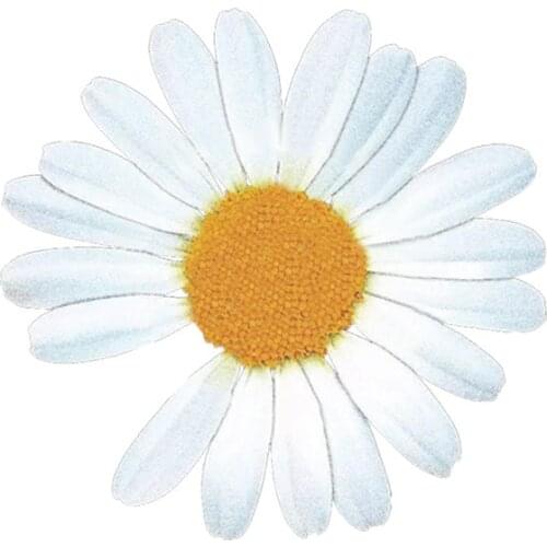 Iron on Daisy Patches for Clothing T Shirt Flower Heat Transfer Thermo Stripes Stickers Applique on Womens Clothes Jacket Q