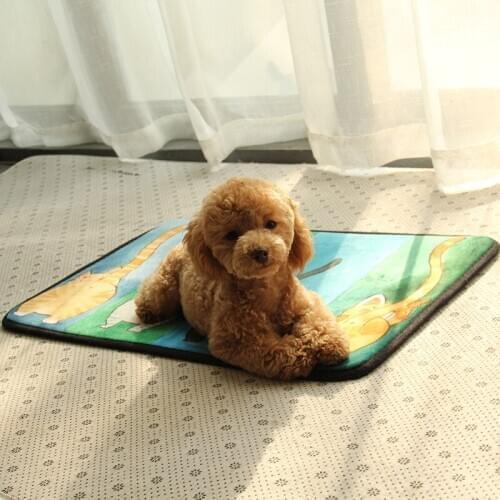 Pet Mat Floor Supplies Animal Cloth Fabric Creative Cartoon Bed Hand Wash Waterproof Super Soft Breathable Nonslip H00083 Qianyi