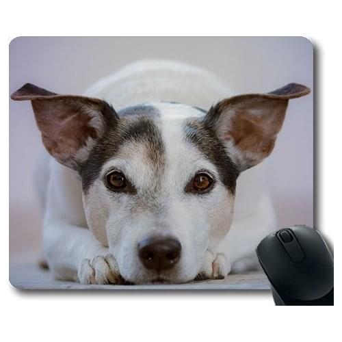 Dogs Galore Mouse Pad,Dog Pet Animal Doggy Sweet Cute Eyes Canine,dogs mouse mat