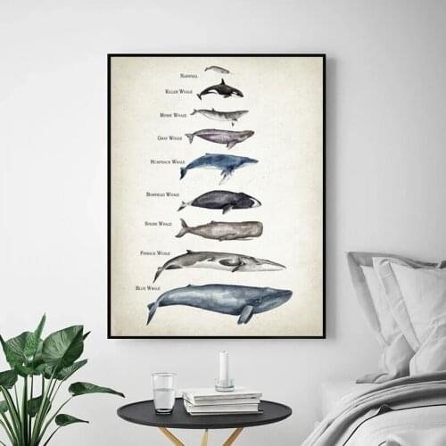Whale Size Comparison Chart Children Education Poster Watercolor Whale Kindergarten Wall Art Picture Childrens Room Decoration