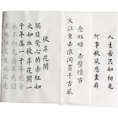 10pcs Calligraphy Copybook Liu Style Regular Script Brush Copybook Caligrafia Beginner Chinese Brush Calligraphy Practice