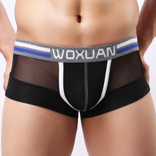 Men Mesh Breathable Boxers Low Waist Solid U Pouch Bag Mens Underwear High Elasticity Seamless Male Underpants