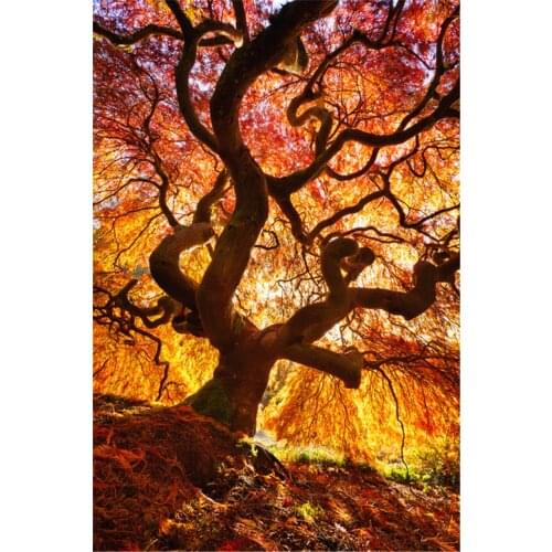 5D Diy Diamond Painting Autumn Landscape Tree Scenery Full Square/round Handwork Embroidery Mosaic Decor Picture By Numbers