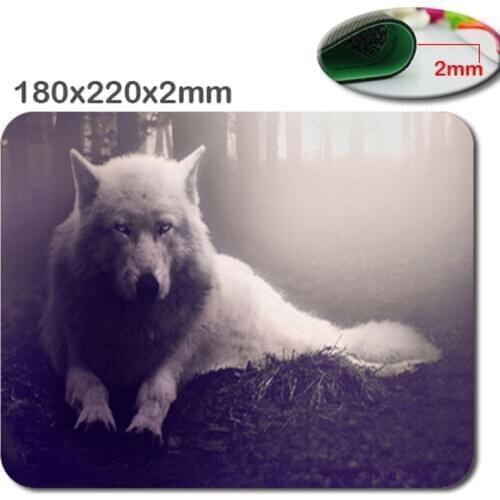 Cute Funny Animal Durable Silicone Optical Mouse Pad Small Rectangle Mouse Pad 22x18cm for Laptop Table Pads