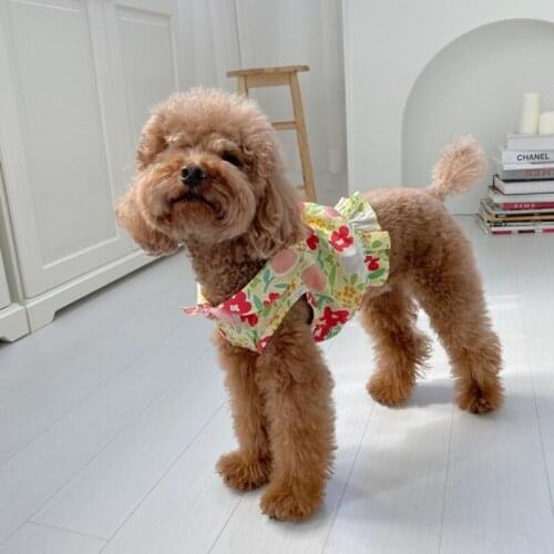 Short Dog Dress Korea Style Pet Clothes Dog Clothing Cat Skirt Yorkshire Yorkies Pomeranian Poodle maltese Schnauzer Dog Costume