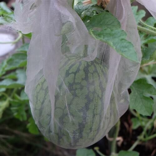 40Mesh 2/3M Wide Greenhouse Protective Net Fruit Vegetables Care Cover Insect Net Plant Covers Net Anti-bird Mesh Net