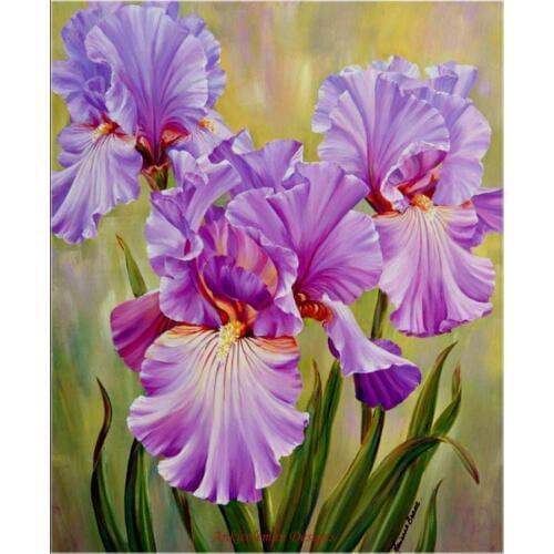 Embroidery Counted Cross Stitch Kits Needlework - Crafts 14 ct DMC Color DIY Arts Handmade Decor - Pink Iris