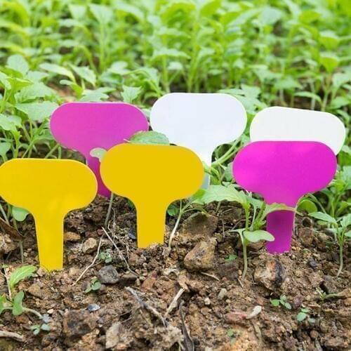100pcs Plant Labels Waterproof T-Shaped Plastic Garden Plant Garden Sign Tags Nursery Stakes for Plants Flowers Vegetables