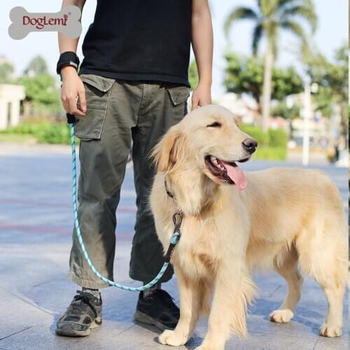 Anti Slip Pet Dog Leash Nylon Strong Durable Reflecting Leash For Small Medium Large Dogs Quick Release Leash