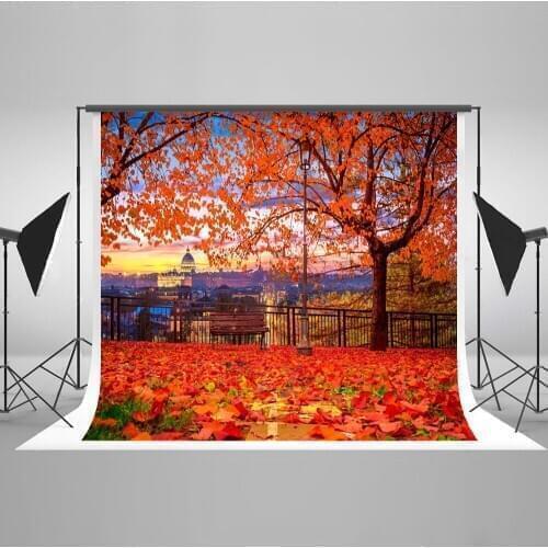 VinylBDS Fall Red Leaves Children Photography Backdrop 10x10ft Scenic Photography Backdrops City Background