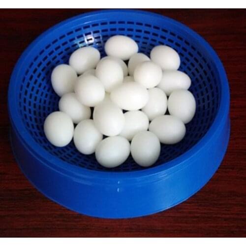 5pcs/lot Pigeon False Eggs Filled Plastic Simulation For Hatch Breeding Supplies