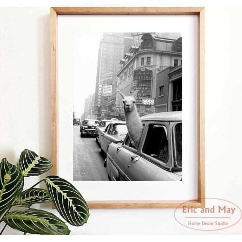 Llama Riding in Taxi Black and White Vintage Print Poster Canvas Painting for Living Room Modern Home Decoration