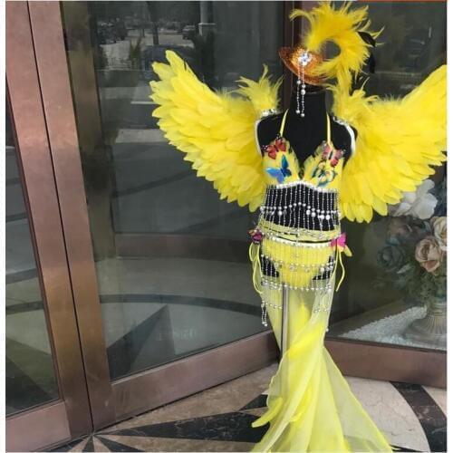 Fashion singer dance show Children feather wings costume Feather Wings for Children