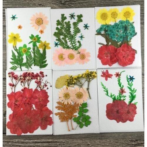 Mixed Pressed Dried Leaf Leaves+Flowers Plants Herbarium For Jewelry Phone Case Postcard Scrapbook Craft DIY Accessories DT01-06