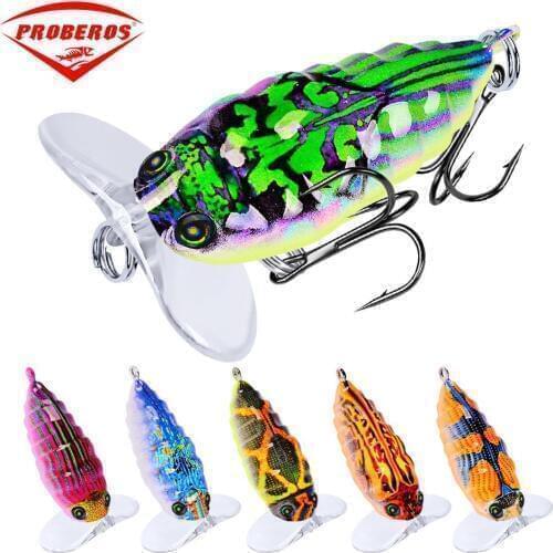 Mounchain Cicadas