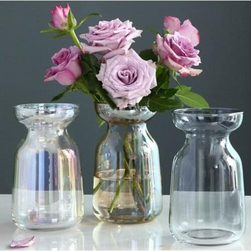 Flower Vase For Modern Home Decor Glass Vase Floral Tabletop Terrarium Table Ornaments Rustic Nordic Vase