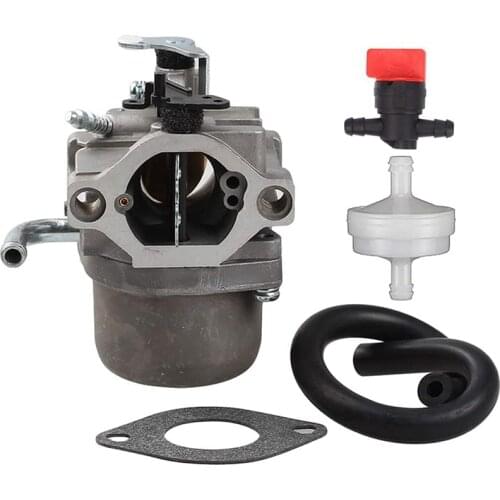590399 Carburetor Carb for Briggs & Stratton 796077 Lawn Mower Engine with Gasket Fuel Line Filter Valve