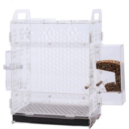 Small Transparent Bird Cage Rectangle Parrot Transparent Acrylic Bird Cage Accessoires Gabbia Per Uccelli Pet Supplies BS50BC