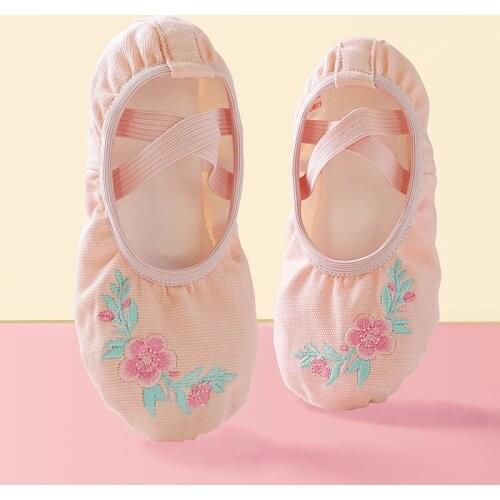 Childern Practice Shoes Girls Kids Embroidery Ballet Shoes Canvas Cute Flower Ballet Slippers Split Sole