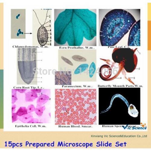 15pcs Prepared Microscope Slide Set