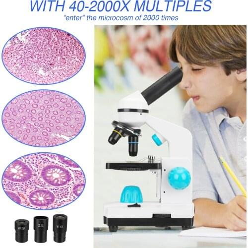 100-2000X magnification student scientific experiment biological microscope