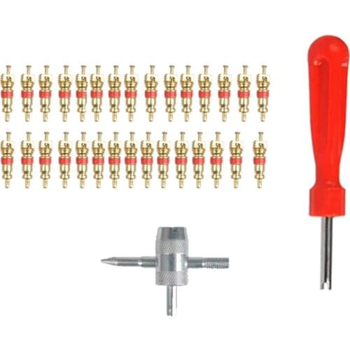 30pcs Brass Valve Core Remover handle valve core remover Multi-function 4-Way Tool for Car Bike Motorcycle Tire Valve Repair