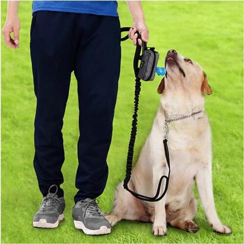 Eco-friendly Pets Poo Bag Holder Treat Pouch Dog Training Treat Bags Detachable Pet Feed Pocket Pouch Puppy Snack Waist Bag