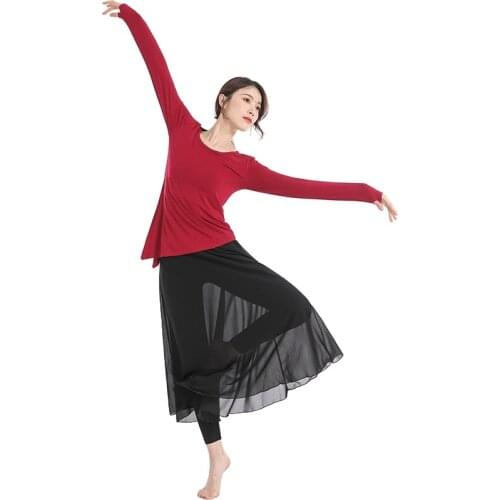 2 Piece Set Women Classical Dance Modern Dance Chinese Folk Dance Practice Suit Loose Long Chiffon Pants Dance Costume 12610