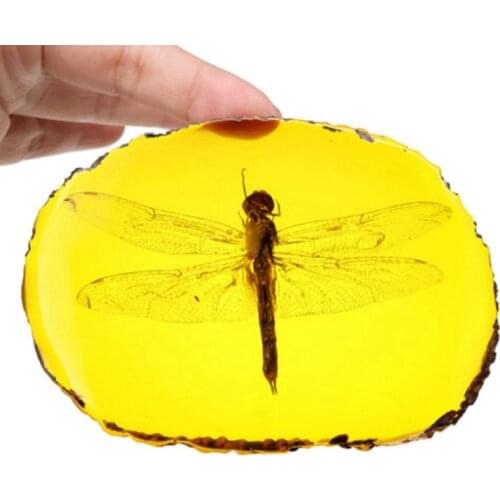 1pc Artificial Amber Insect Specimen Pendant Insects Amber Stone Ornament Collection Gifts