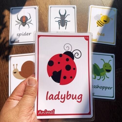13pcs Insect Learning Word Cards Flashcards English Teacher Teaching Aids Montessori Educational Toys Memory Game
