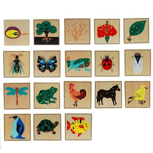 Montessori Botany Animal Insect Puzzle toys