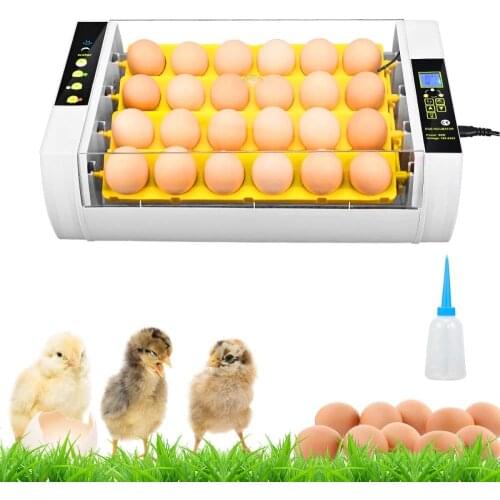 EU US Stock Eggs Incubator 24 Eggs Digita Mini Automatie Incubatores for Hatching Turkey Goose Quail Chicken Egg Hatching