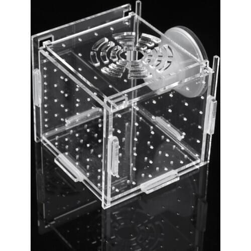 New Aquarium Acrylic Fish Bowls Tank Breeding Isolation Box With Sucker For Baby Fish Hatchery Rooms Incubator Reptile Cage