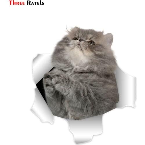 Three Ratels QM-5 Cute 3D Persian Cat Wall Sticker Cute Sticker On Laptop Car Sticker