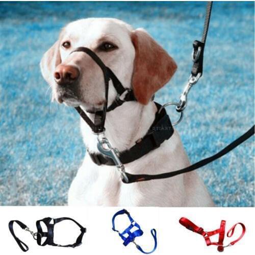 Creative Dog Halter Halti Training Head Collar Gentle Leader Harness Nylon Breakaway All Seasons Usefull Harnesses Lead hot