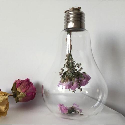 Different Style Bulb shaped Glass Terrarium Vase Beautiful Glass Vase Home Decorative Creative Glassware Gifts China supplier