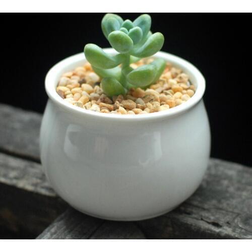 Garden supplies garden flower pots planters simple Korean Style white ceramic office home decorative flower green plant pots