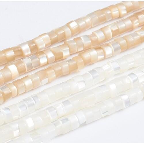 5 Strand Natural Column Trochus Shell Beads Strands Mix Color for Jewelry making DIY Bracelet Necklace Decor,about 176pcs/strand