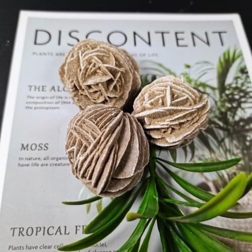 Natural DESERT ROSE Healing Raw Crystal Stone Mineral Specimen Fengshui Decor 40-50mm