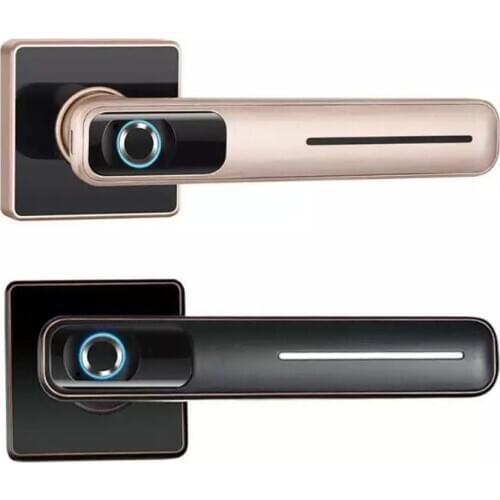 Biometric Fingerprint Door Lock Intelligent Electronic Lock Smart Door Lock With Mechanical key For Home and Office Security
