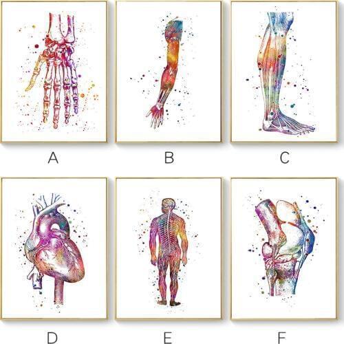 Abstract Anatomy Poster Nordic Canvas Wall Art Print Watercolor Meridian Painting for Medical Decor Black Metal