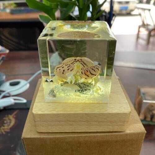 Handmade Marine Animals Small Flower Crab Crystal Resin Ornaments Car Decoration Creative Birthday Gifts