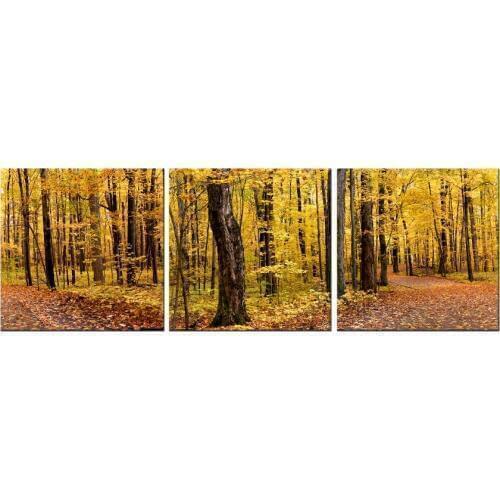3 Piece Canvas Wall Art Autumn Gold Forests Painting Picture Print Canvas poster Wall Pictures For Living Room wall decor