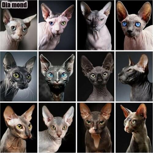 5D DIY Diamond Painting Cat Full Square/Round Sphinx Cat Diamond Embroidery Hairless Cat Mosaic Animal Picture of Rhinestones