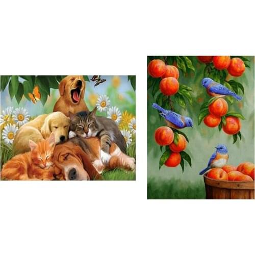 2Set Round Drill 5D Diy Diamond Painting Embroidery Cross Stitch 5D Home Decor Gift, "Animal Cats Dog" & Bird And Fruit