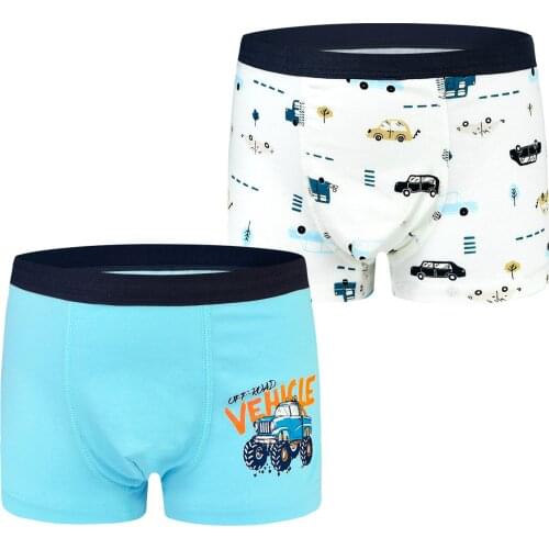 2Pc Children Underwear Baby Boy Girls Cotton Boys Panties Cartoon Car Dinosaur Print Kids Boxer Briefs Child Soft Pants Teenager