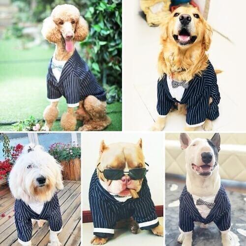 NEW Handsome Large Dog Pet Tuexdo Suit for Big Dog Striped Bow Tie Suit Clothes Dog Costume 3XL ~7XL