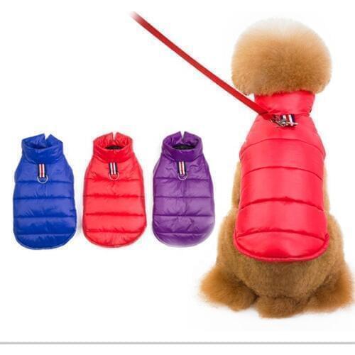 MOQ Pet Cotton-padded Dog Winter Jacket China Factory Low
